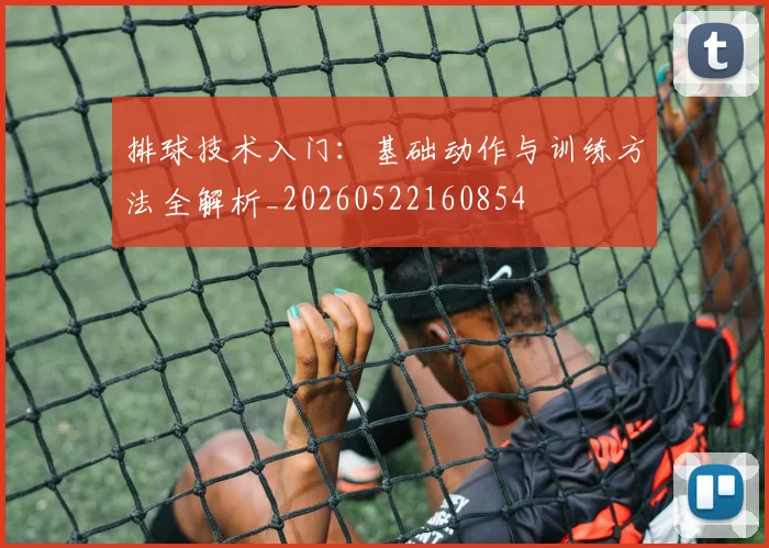 排球技术入门：基础动作与训练方法全解析_20260522160854