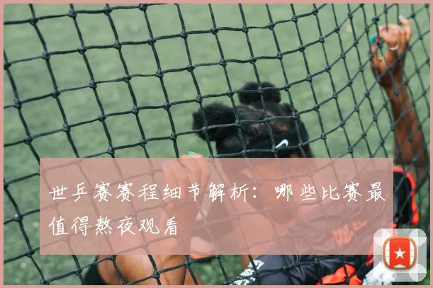 世乒赛赛程细节解析：哪些比赛最值得熬夜观看