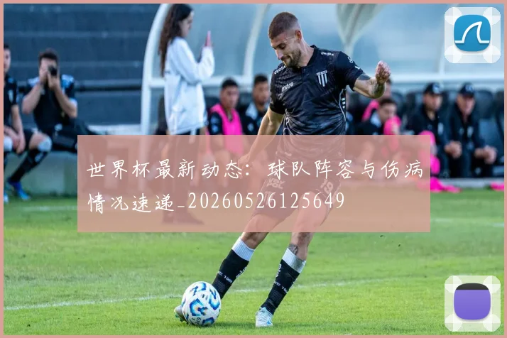 世界杯最新动态:球队阵容与伤病情况速递_20260526125649